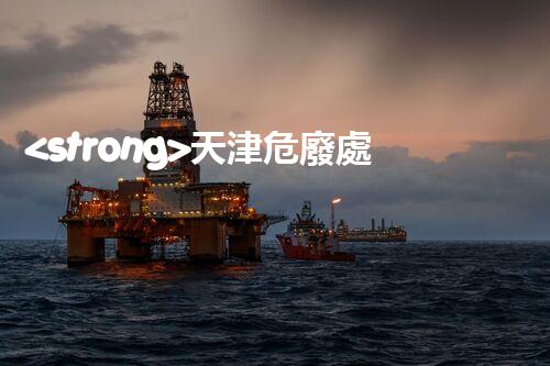 <strong>天津危廢處理公司排名前十名名單如何安全處理危險廢棄物？</strong>